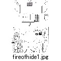 fireofhide1.jpg[875~1228]