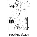 tbfireofhide5.jpg (5967 oCg)