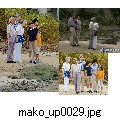 mako_up0029.jpg[628×464]