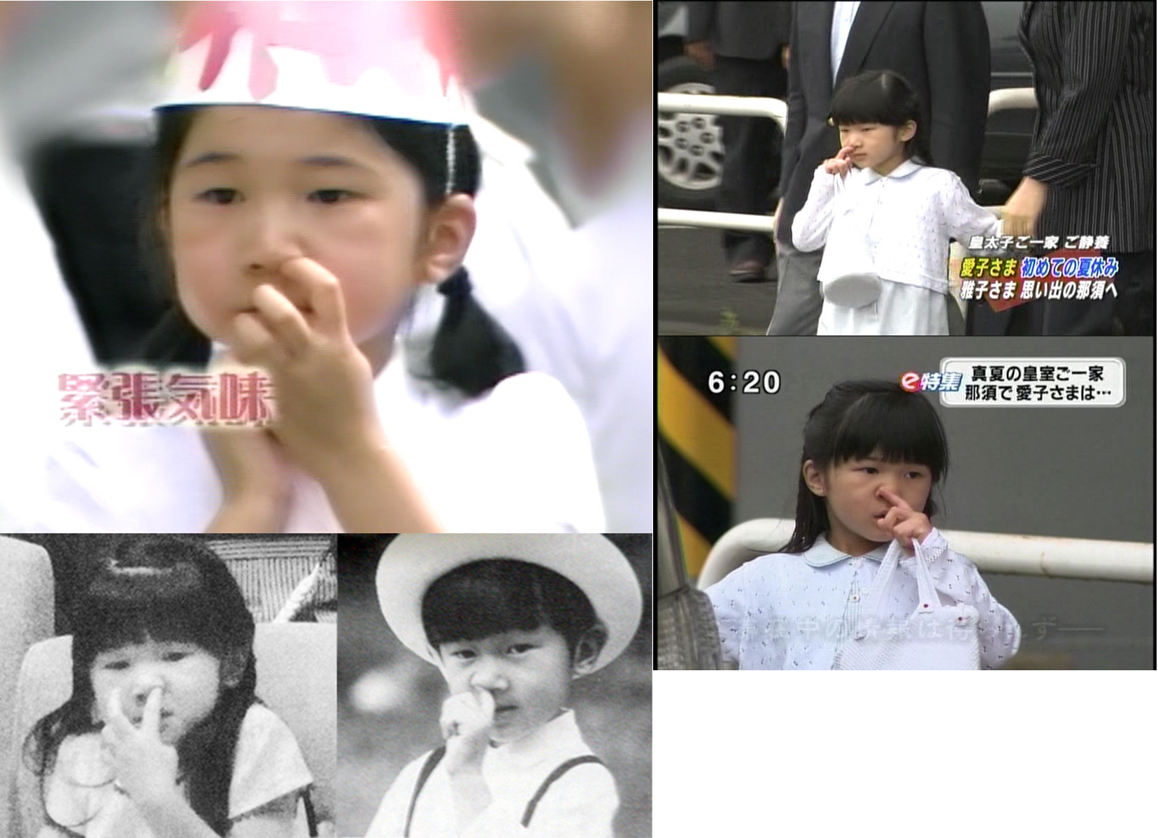 yczH{Ƃ{@̉CHɔZ܂u䉼v񓹐wɌJB{ 	->摜>29 