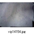 vip14154.jpg[640~480]