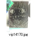 vip14170.jpg[480~640]