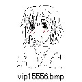 vip15556.bmp[279~400]