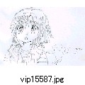 vip15587.jpg[1731~1223]