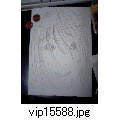 vip15588.jpg[480~640]