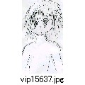 vip15637.jpg[796~1382]