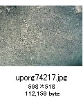 uporg74217.jpg[698~518]